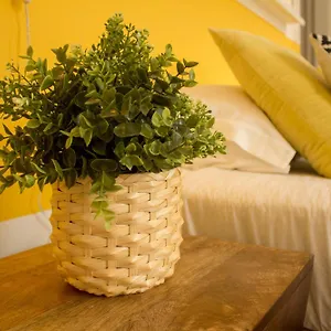 Intendente 1865 Bed & Breakfast Lissabon